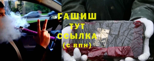 гашик Богданович