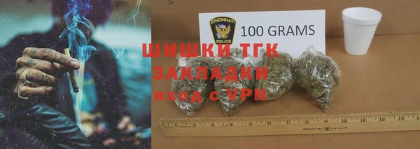 гашик Богданович