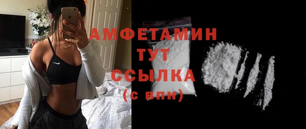 ПСИЛОЦИБИНОВЫЕ ГРИБЫ Верея