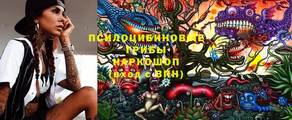 гашик Богданович
