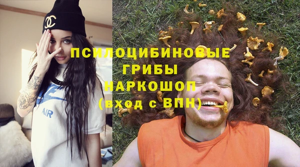 ALPHA PVP Богородицк